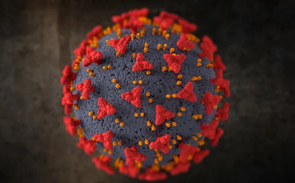 Ebola Virus Disease Symptoms and the Importance of Early Medical Care