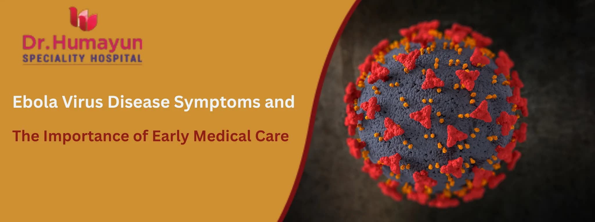 Ebola Virus Disease Symptoms and the Importance of Early Medical Care, Humayun hospital, chennai